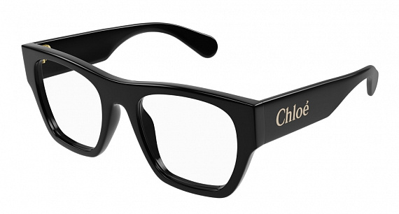 CH 0250O 001 52
