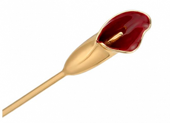 FAS Calla I Brown SF053BR 56-2